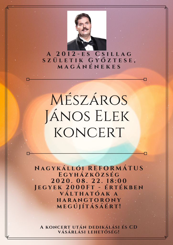 meszaros-janos-elek-koncertmeretezett